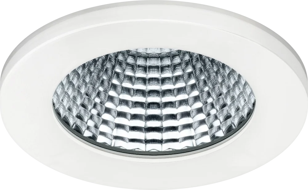 Atom Non-Ferrous Downlight