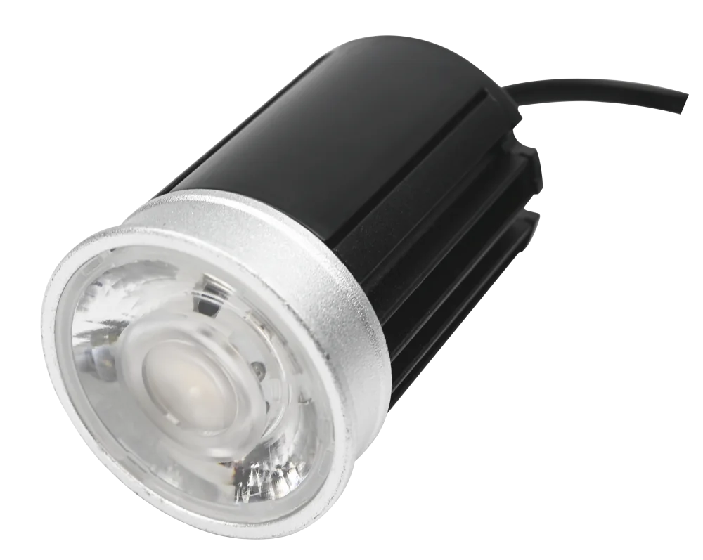 Bullet Downlight