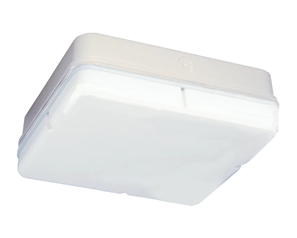 Midi Square IP65 Bulkhead