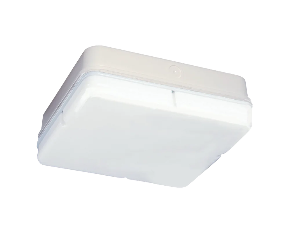 Mini Square IP65 Bulkhead