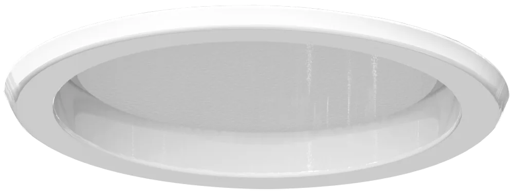 ZIP Downlight