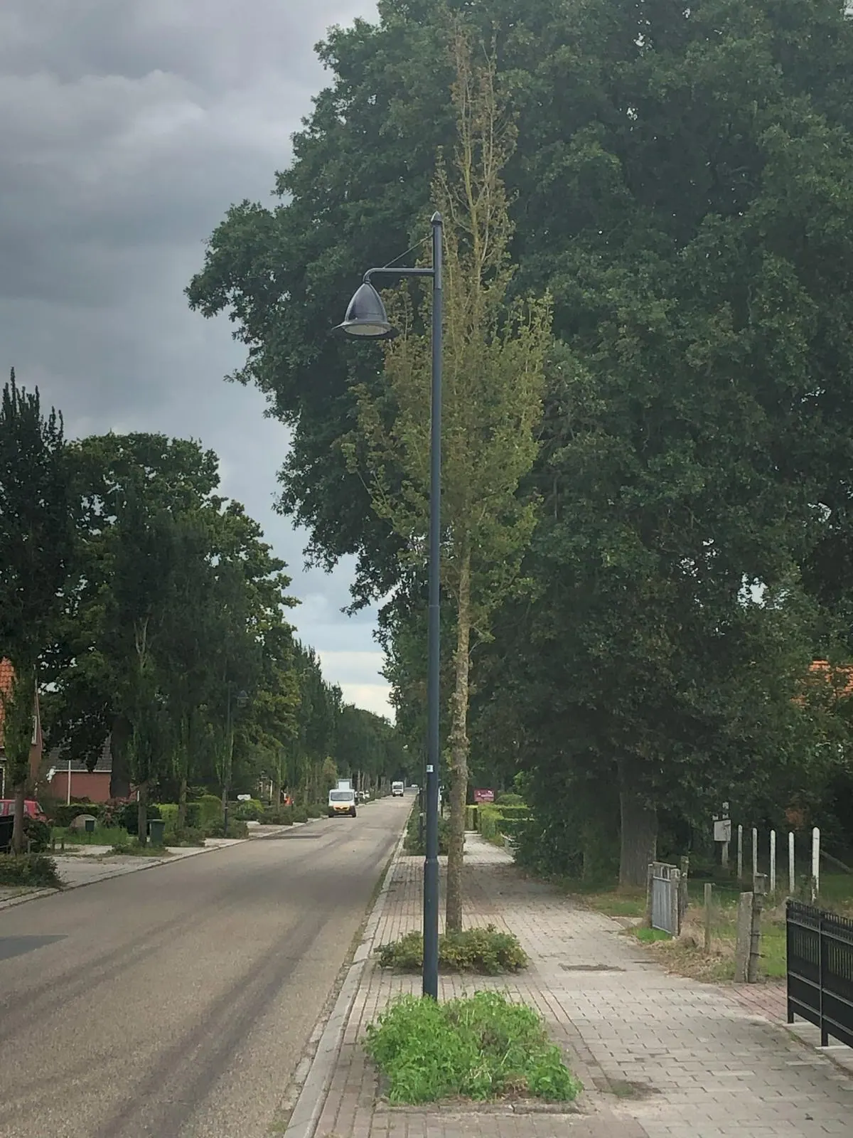 Light 31 on the Mizar pole 3