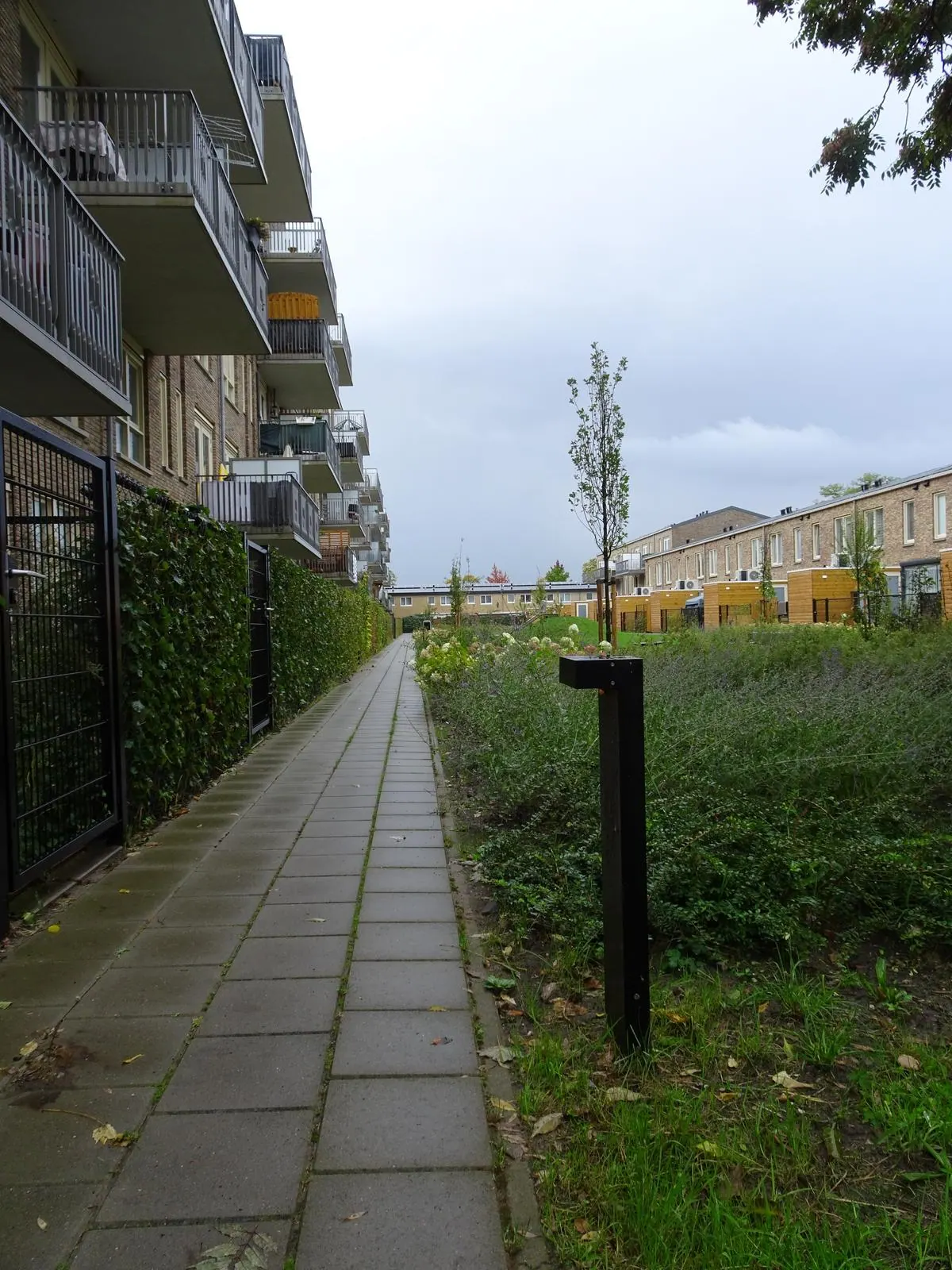 Pictor · Veenendaal 2