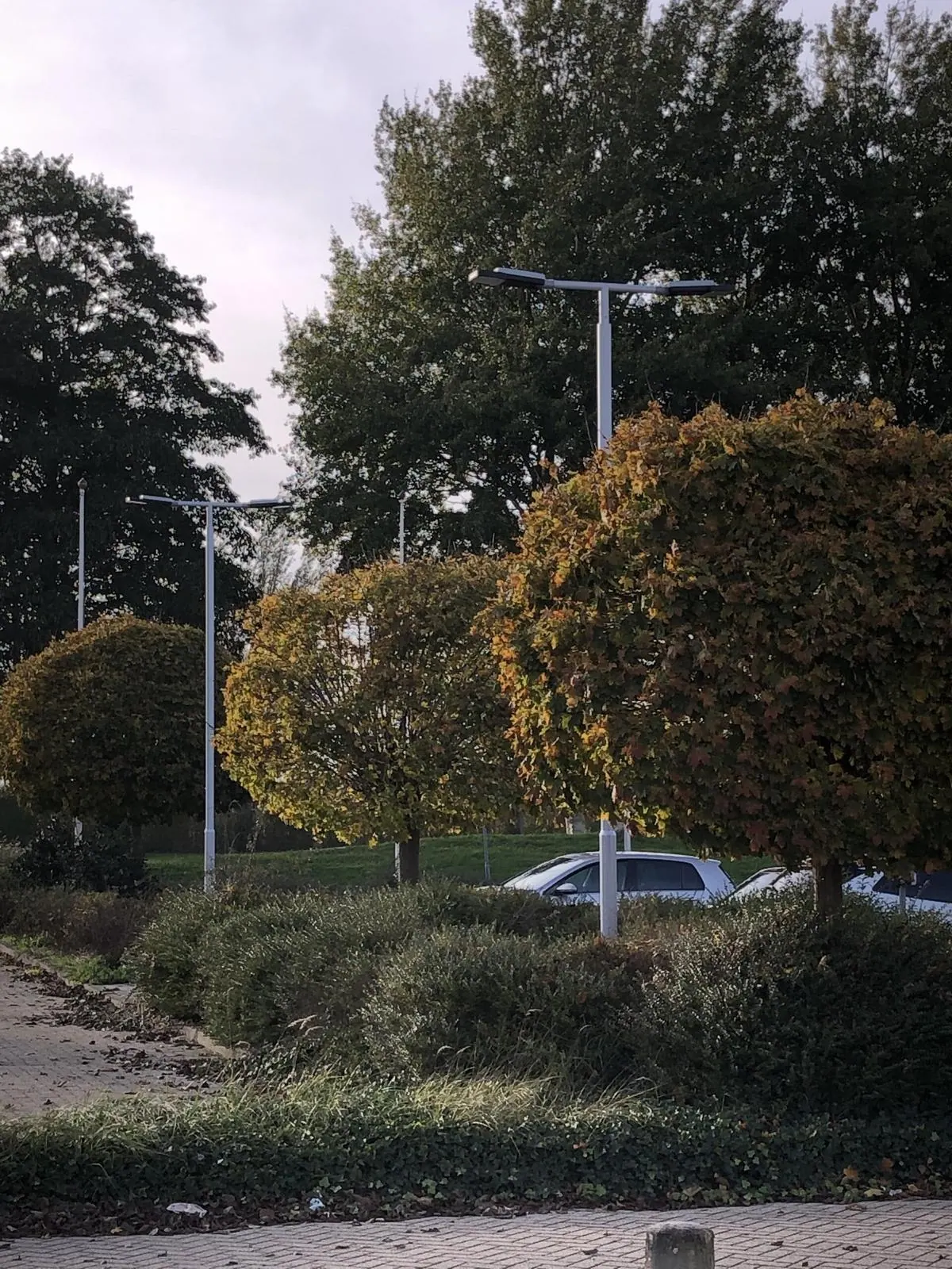 Buitink · Genemuiden