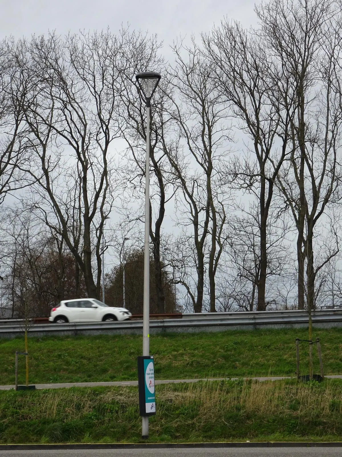 Lang · Sassenheim 3
