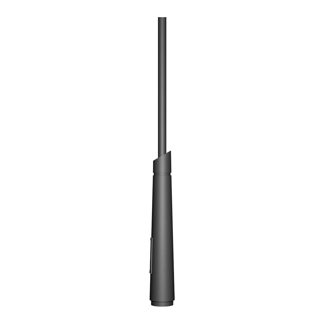 Chara mast
